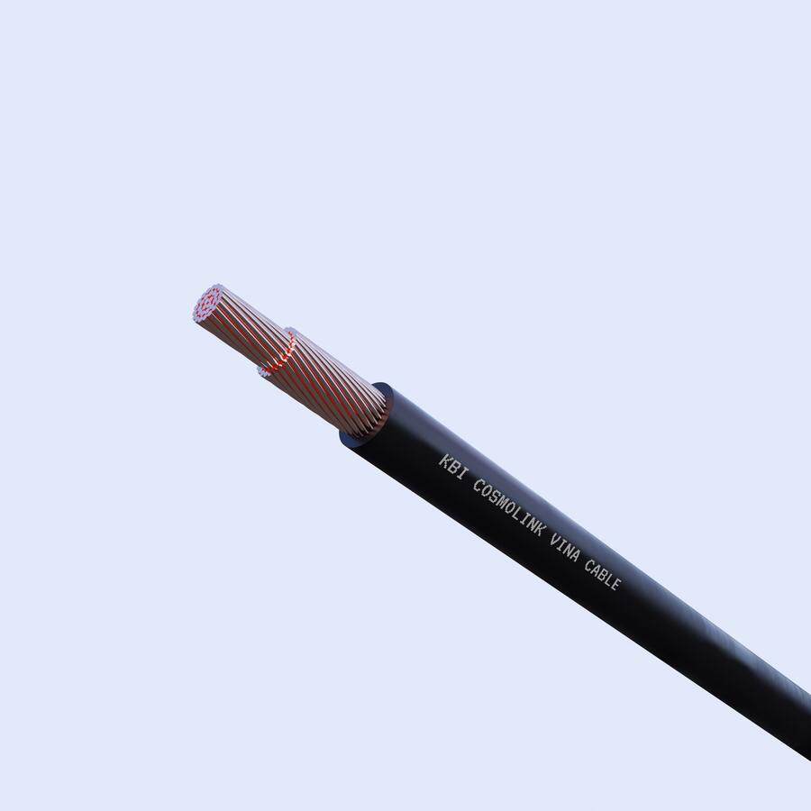 DÂY ĐƠN CỨNG (HIV)